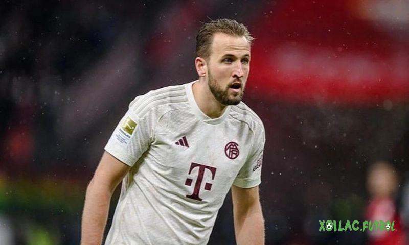 Harry Kane có bao nhiêu danh hiệu?