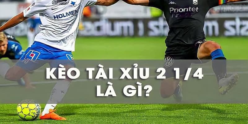 Tài Xỉu 2 1 4 là gì?